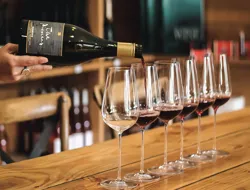 Boutique Wine Tour from Queenstown